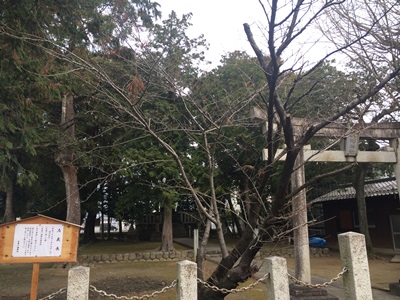 神社