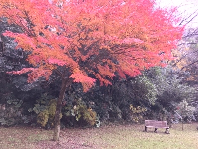 家造り